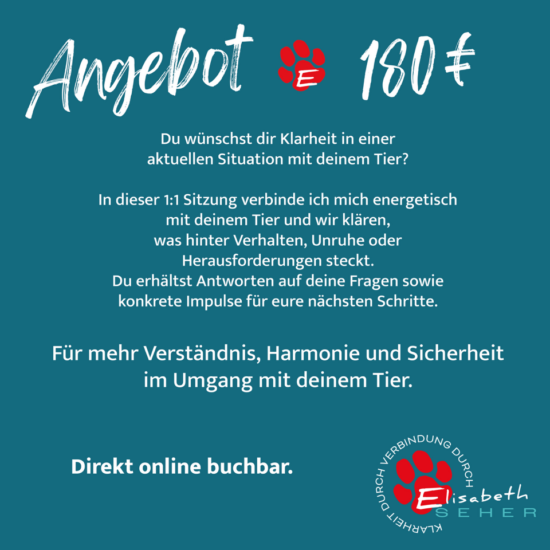 Energetische Tierbegleitung – Einzelsession