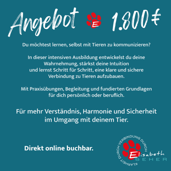 Angebot